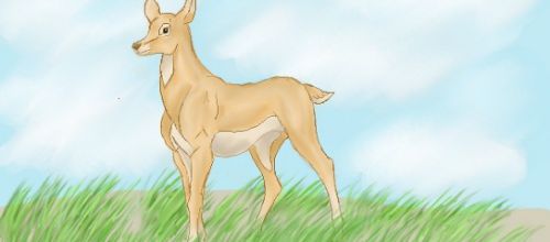 Biche façon disney