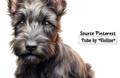Tubes chien