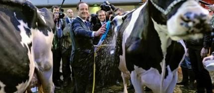 Hollande salon