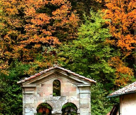 Poèmes divers : Automne malade
