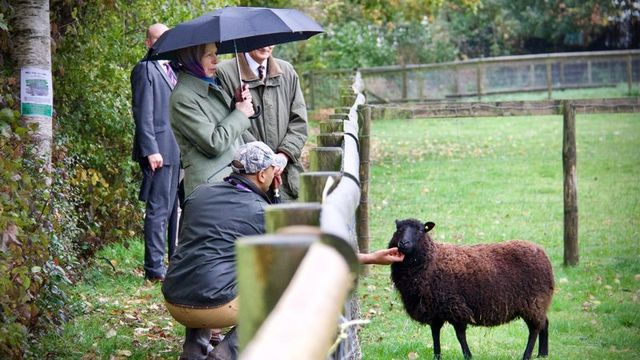 Oasis Southampton City Farm
