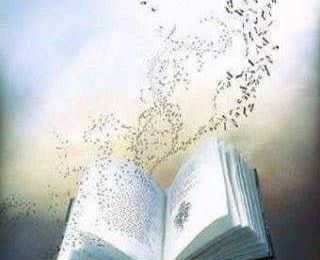 Il y a les mots
