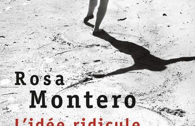 L’idée ridicule de ne plus jamais te revoir ≡ Rosa Montero