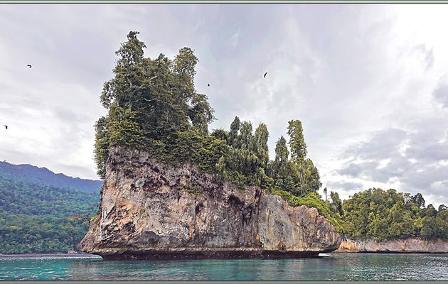 La balade en Zodiac se poursuit au milieux des ilots rocheux situés à proximité de Kiti-kiti Waterfall - Fakfak Regency - West Papua Province - Indonésie