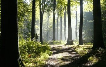 Ces inoubliables lumières ... 