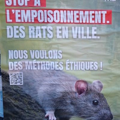 ... rat-le-bol!