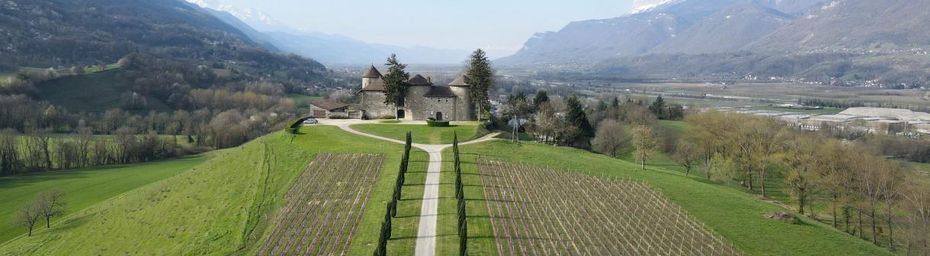 La tour d'Avalon et le château Bayard
