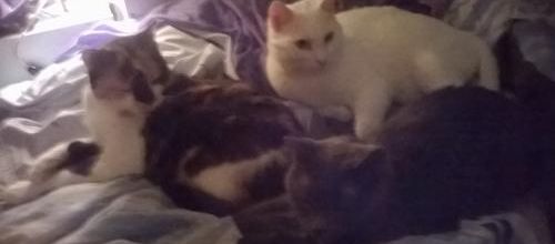 Les nuits sont parfois courtes....