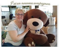 Rencontres animalières pendant mes vacances
