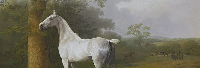  un tableau un peintre 