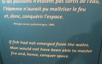 Du poisson sarcoptérygien fossile à Jésus-Christ