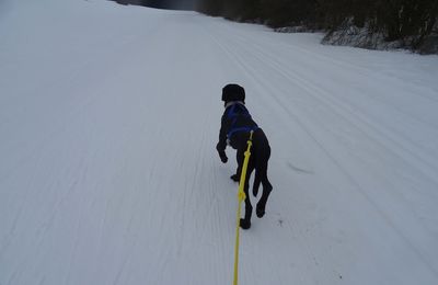 Le 15 janvier 2018: Ski-joering sur neige