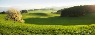 Comme j'aime ce passage du temps et des saisons ...