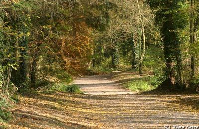 Parc des Gayeulles - Rennes