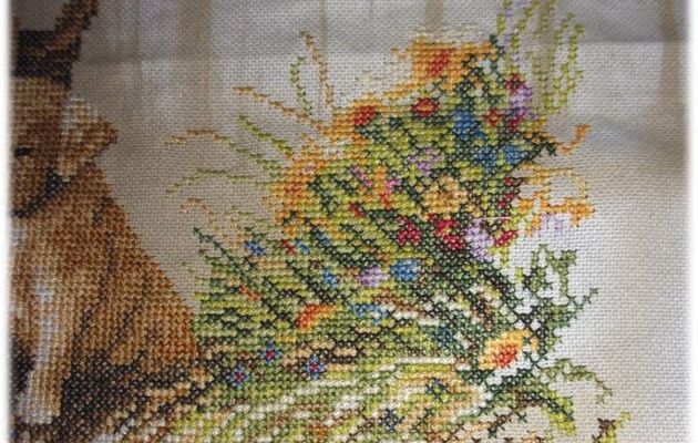 Innocent Puppies (5)