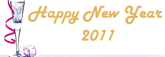 ღ Happy New Year 2011!