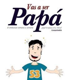 Libro gratis para descargar en línea. VAS A SER PAPA: EL EMBARAZO SEMANA A SEMANA de MARIO GUINDEL 9788436829914 en español
