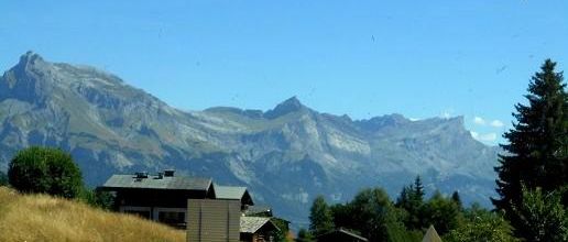 Excursion: Les Alpes ,ses  lacs et montagnes (5)