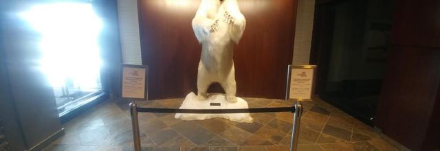 Journey Through Western Canada: Day Eleven: Yellowknife & Ingraham Trail