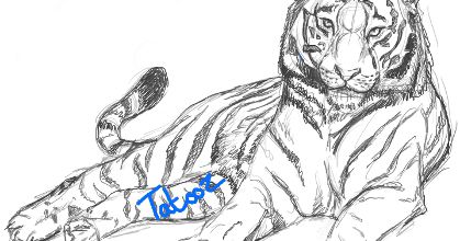 Un cadeau pour ma maman: Le tigre blanc
