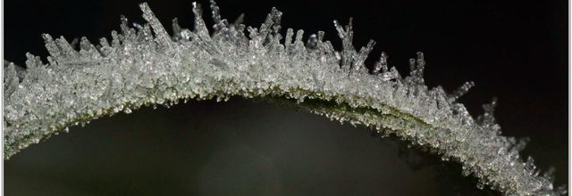 Givre (1)