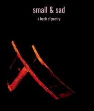 Online Read Ebook small & sad