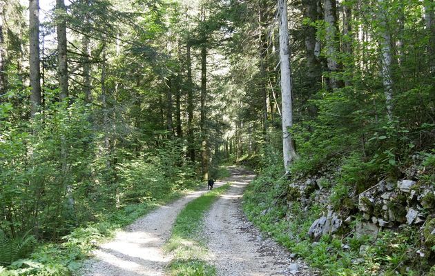 Le 13 juin 2021 : les fleurs de la Chandeleuse
