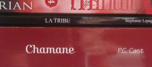 Bilan lecture du mois d'Octobre