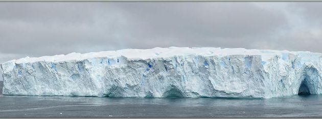 02/03/2022 : l'après-midi se passe à observer les icebergs, des oiseaux et quelques rorquals de passage - Mer de Ross - Antarctique