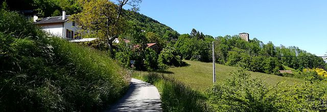 Mes promenades