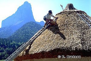 Sur la paille et puis... 
