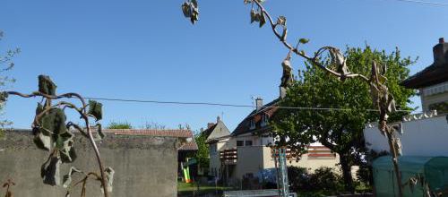 La météo 
