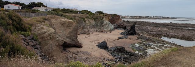 les marais d'Yves - Châtellaillon (17)