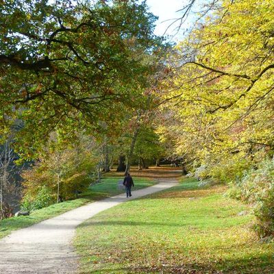 Aux abords de la Sèvre Nantaise (2)