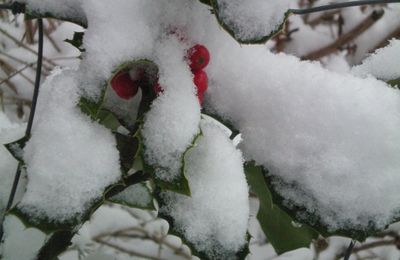Le souffle de Chioné, déesse de la Neige et Mardi Poésie...