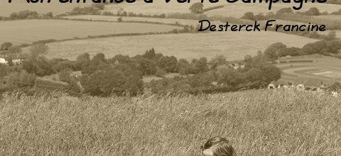 Couverture de mon livre
