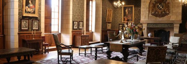 CHÂTEAU D'AZAY-LE-FERRON (2/2)