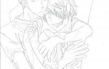 Le meilleur couple dans One Piece xD