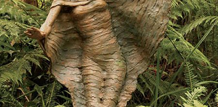 Bruno Torfs:  l'enchanteur des bois