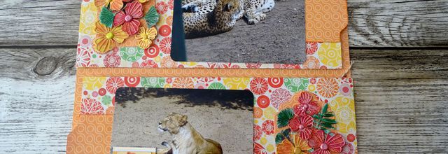 Une page pour les félins pour l'album sur le zoo de la Palmyre