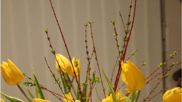 Tulipes jaunes et branchage