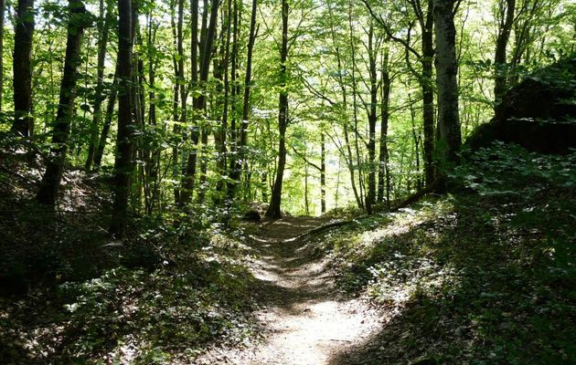 LES GORGES  DE  LA  CERE  -  CANTAL