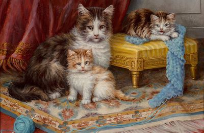 Tableau du samedi 260 : Fil à chatons