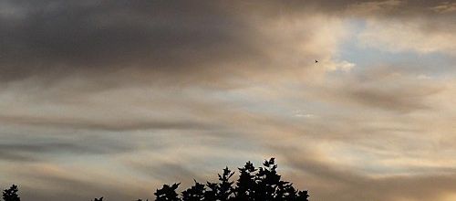 Promenade sous le ciel gris