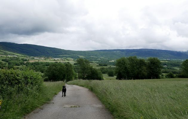 5 juin 2021 : Le tour de Rubia
