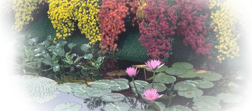 Jardin remarquable en Alsace