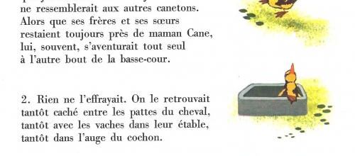 Le canard aventureux