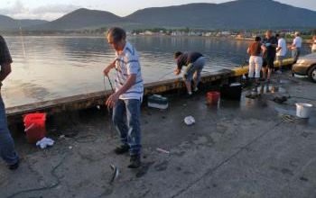 Champlain et maquereaux