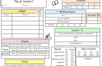 Plan de travail : PIDAPI et autres activités