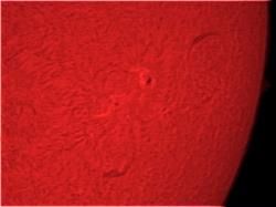 04 août 2013 : PST Coronado, SPC900NC et Canon EOS 1100D